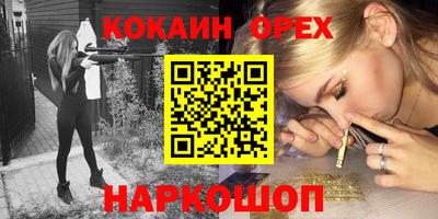 гашик Гатчина