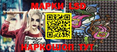 гашик Гатчина