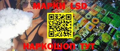 гашик Гатчина
