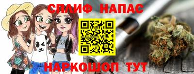гашик Гатчина