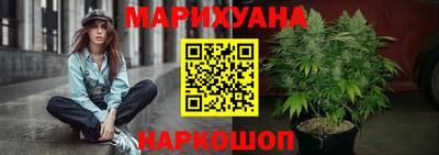 гашик Гатчина