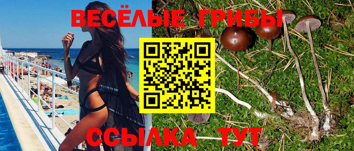 Галлюциногенные грибы мухоморы  Вход с VPN  Нурлат  Псилоцибиновые грибы ЛСД 